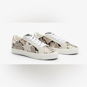 Steve Madden Philosophy Women’s Snakeskin Sneaker Sz: 6M